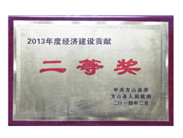 2013年度經(jīng)濟建設貢獻獎