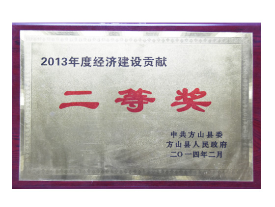 2013年度經(jīng)濟(jì)建設(shè)貢獻(xiàn)獎